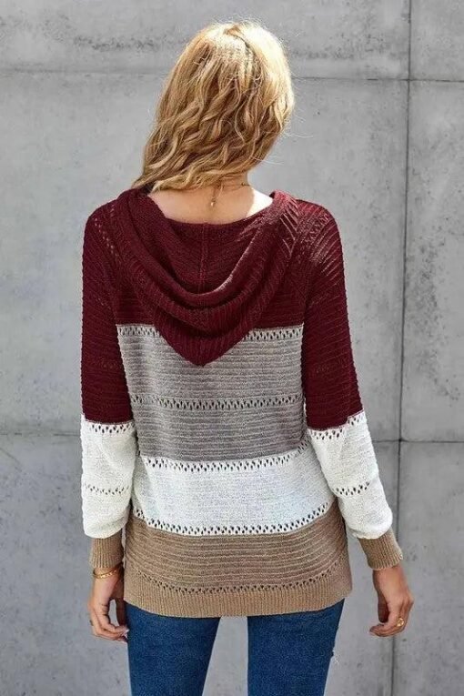Lillian Colorblock Hooded Knit Sweater Jolie Vaughan Mature Women's Online Clothing Boutique – Image 5