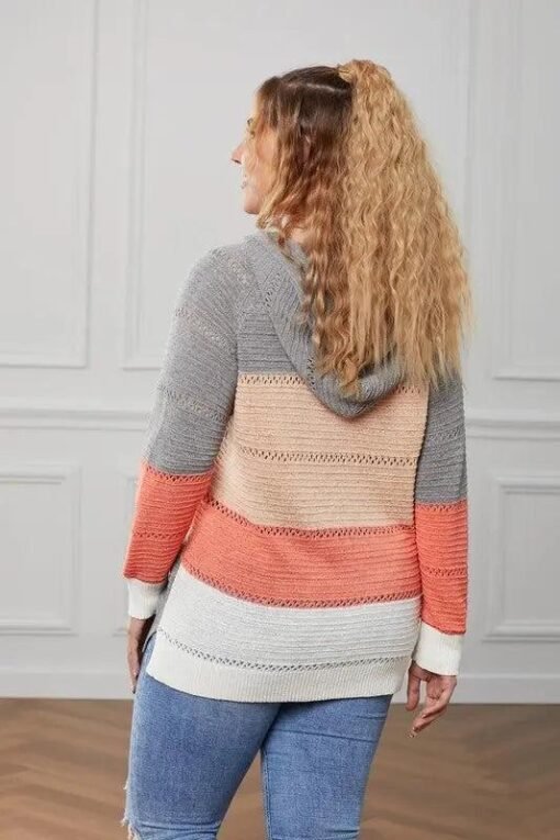 Lillian Colorblock Hooded Knit Sweater Jolie Vaughan Mature Women's Online Clothing Boutique – Image 6