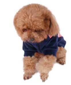 Autumn And Winter Casual Pet Warm Clothing Style:020