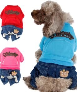 Autumn And Winter Casual Pet Warm Clothing Style:021