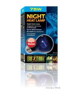 Exo Terra Night Heat Lamp, 75W