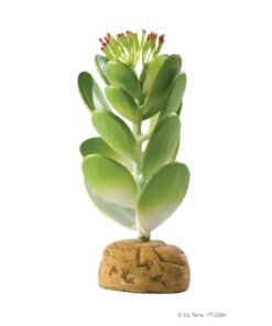 Exo-Terra Plant Jade Cactus
