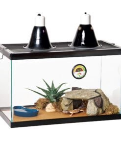 Zilla Desert Reptile Terrarium Starter Kit 10