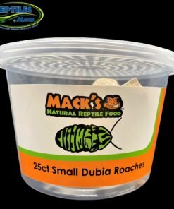 Mack's Natural Reptile Food Live Dubia Roaches