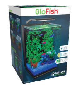 GloFish 5-Gallon Aquarium Kit