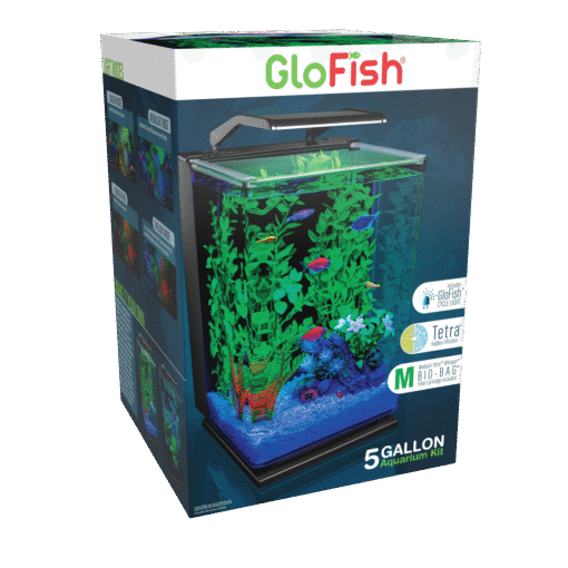 GloFish 5-Gallon Aquarium Kit