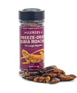 Fluker's Freeze Dried Dubia Roaches Reptile Food