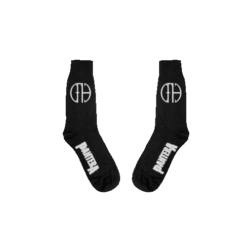 CFH + Logo Socks